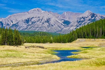 Mountain landscape with autumn meadow in Banff National Park