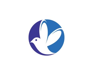 Hummingbird logo template vector icon