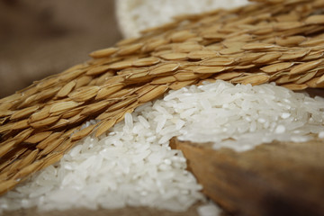 White rice, rice grains on burlap background