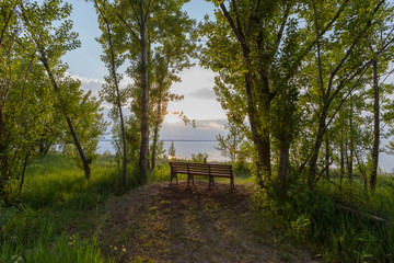 Park bench at the end of a path overlooking serene lake.  The scene is calm and relaxing.