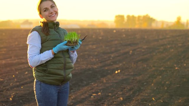 Female farmer stands with a sample of seedlings in her hand about to plant it in the soil.