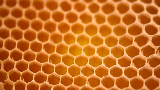 Honeycomb background. Honey combs full of fresh organic sweet honey. Healthy food concept. Rotation 4K UHD video 3840X2160