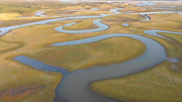 Aerial view of wetland with grazing horse, Qiqihar, Heilongjiang, China, Asia.