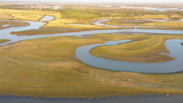 Aerial view of wetland with grazing horse, Qiqihar, Heilongjiang, China, Asia.