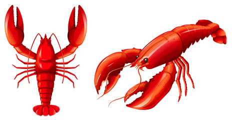 Set of red lobster - obrazy, fototapety, plakaty