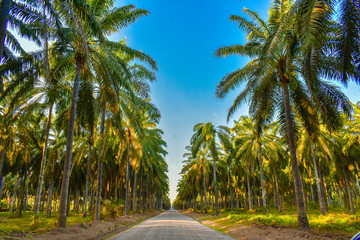 Paradise in Costa Rica