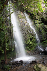 Fototapeta na wymiar Newton's Waterfall in Misty Parks Reserve, Akaroa, New Zealand