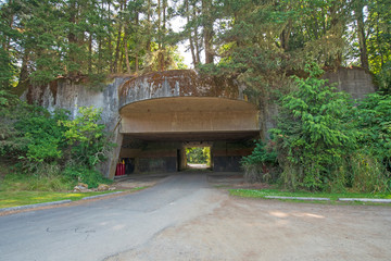 16 inch Gun Casemate in a coastal Forest