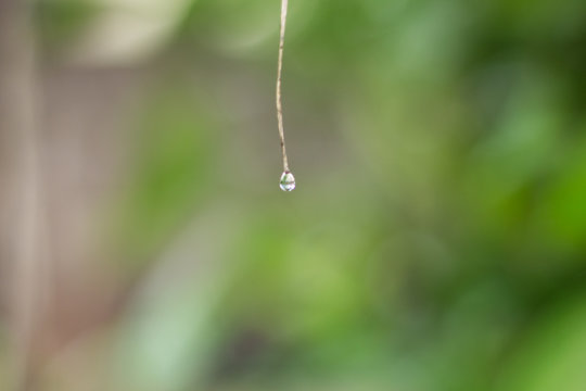 gota de chuva