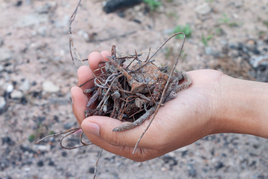Old nail and wire rust in hand, Please help to keep away. For safety.