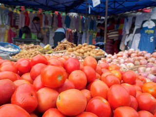 Tomatoes on the market
