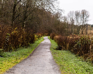 Deer lake park at rainy autumn day in November Burnaby British Columbia Canada.