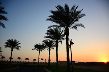 Fototapeta na wymiar sunset in a beautiful resort area on the red sea