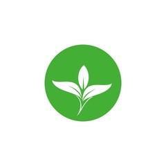 Fototapeta na wymiar leaf logo design in the circle vector