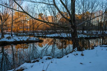 A tree looms over a fork in the creek in the snow littered forest as the sun sets, with mirror tree reflections on the placid surface at Yates Mill County Park in Raleigh North Carolina.