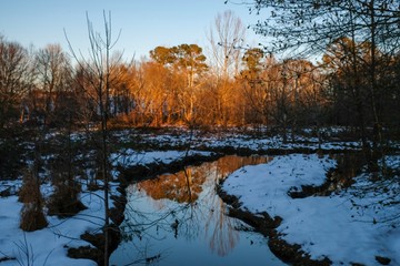 Obraz premium The last kiss of the waning sunshine on the trees with a mirror reflection in the creek and snow covered ground at Yates Mill County Park in Raleigh North Carolina.