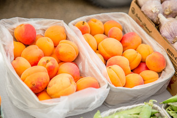 apricots at farmer's market