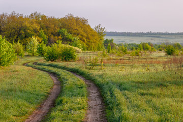 The rural ground road on the edge of the forest at the early springtime morning