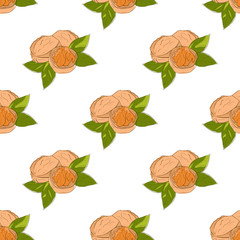 Walnut. Dried. Wallpaper, texture, background. Seamless. Sketch