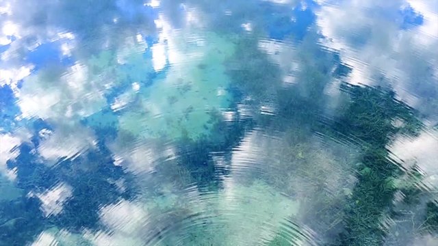 Water Reflections