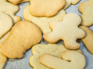 A close up food photograph of a pile of baked sugar Christmas cookies in various shapes including gingerbread man, candy canes and snowman on a metal baking pan or sheet.