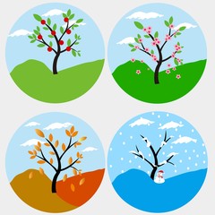four season vector illustration