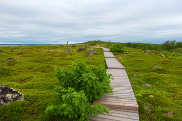 Hiking trail is equipped with wooden flooring on the Bolshoy Zayatsky Island. Solovetsky archipelago, White sea, Russia