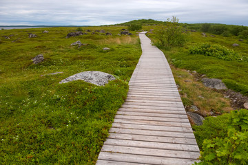 Hiking trail is equipped with wooden flooring on the Bolshoy Zayatsky Island. Solovetsky archipelago, White sea, Russia