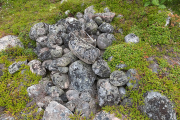 Stone mounds - artificial stone mounds of small boulders on the Bolshoy Zayatsky Island. Solovetsky archipelago, White sea, Russia