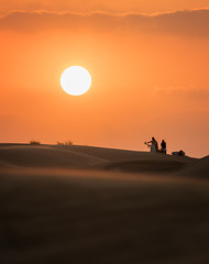 the Sun in the desert