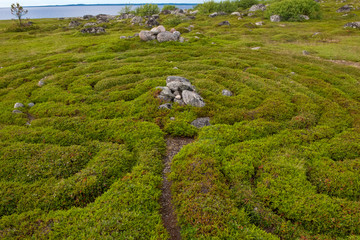Stone labyrinths on the Bolshoy Zayatsky Island. Solovetsky archipelago, White Sea, Russia