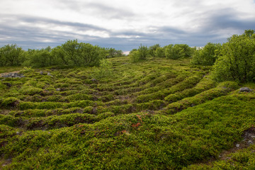 Stone labyrinths on the Bolshoy Zayatsky Island. Solovetsky archipelago, White Sea, Russia