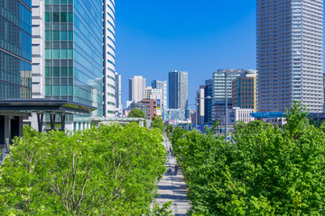 (東京都ｰ都市風景)豊洲オフィスビル群と並木道２