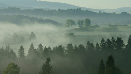 Misty sunrise in the Bieszczady Mountains. Poland