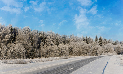 Obraz premium Winter landscape - the road along the wood