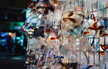 Various goldfish held in plastic bags on the goldfish market in Hong Kong