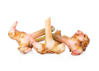 Fresh galangal on white background.
