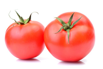 Tomatoes on a white background