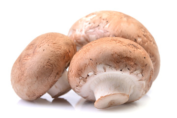 Champignon mushrooms on a white background