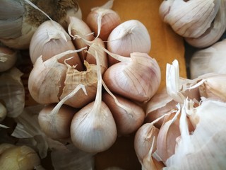 garlic on a wooden background