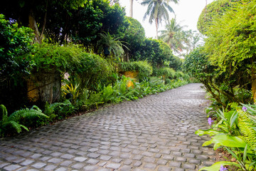 Obraz premium Cobble stone walkway in a tropical garden