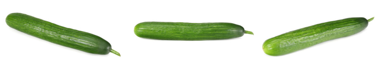 one fresh cucumbers isolated on white background