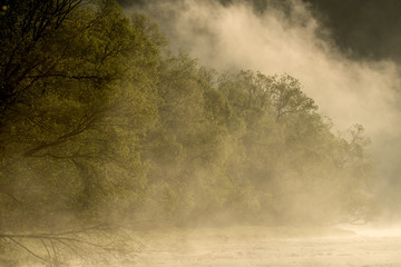 Misty sunrise at San valley in the Bieszczady Mountains