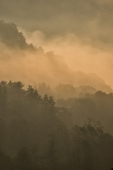 Misty landscape in the San Valley. Bieszczady Mountains. Poland