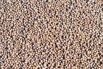 Diammonium phosphate granular fertilizer 