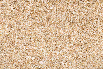 Background of amaranth grains closeup, top view
