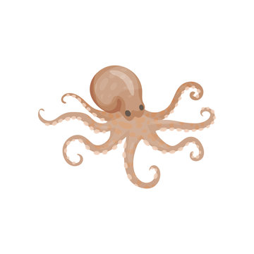 Detailed flat vector icon of big octopus. Edible marine delicacy. Sea animal with long tentacles. Seafood theme