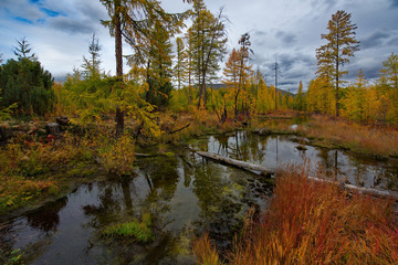 Russia. Magadan. The amazing beauty of the autumn of the Far East. The lake Maxi