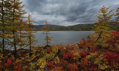 Russia. Magadan. The amazing beauty of the autumn of the Far East. The lake Maxi