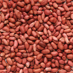 Peanut texture. Food background of red beans